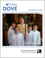 dove-cover